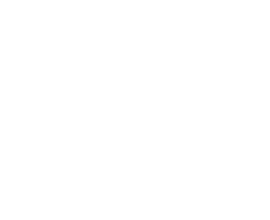 Junior Report